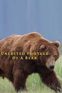 Unedited Footage of a Bear - Poster