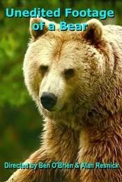 Unedited Footage of a Bear