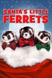 Santa's Little Ferrets - Poster