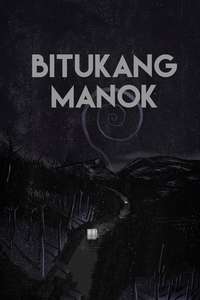 Zigzag Road - Poster