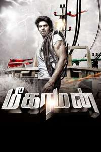 Meaghamann - Posters