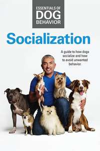 Essentials of Dog Behavior: Socialization - Poster