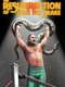 The Resurrection of Jake the Snake