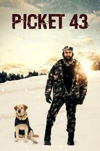 Picket 43 - Poster