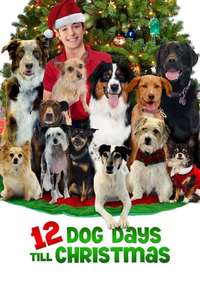 12 Dog Days Till Christmas - Poster