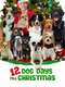 12 Dog Days Till Christmas