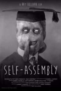 Self-Assembly - Poster