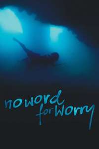 No Word For Worry - Poster