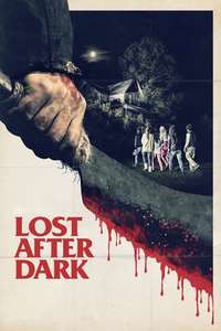 Lost After Dark - Poster