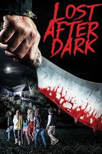 Lost After Dark - Poster
