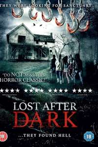 Lost After Dark - Poster