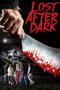 Lost After Dark - Poster