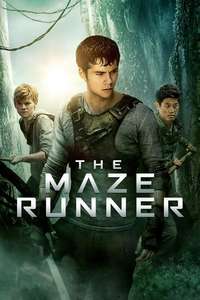 The Maze Runner - Posters