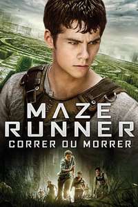 The Maze Runner - Posters