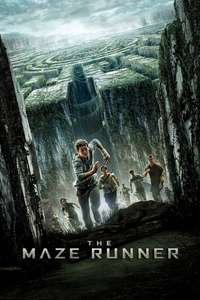 The Maze Runner - Posters
