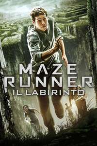 The Maze Runner - Posters