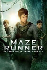 The Maze Runner - Posters
