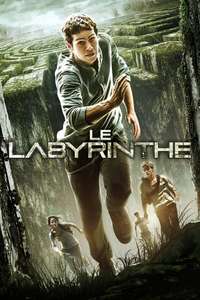 The Maze Runner - Posters
