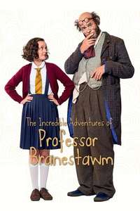The Incredible Adventures Of Professor Branestawm - Poster