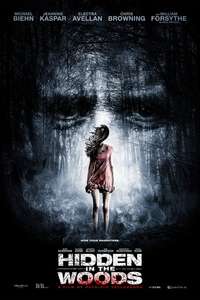 Hidden in the Woods - Poster