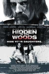 Hidden in the Woods - Poster