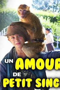 Monkey in the Middle - Poster