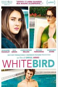 White Bird in a Blizzard - Poster