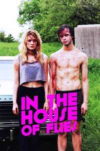 In The House of Flies - Poster