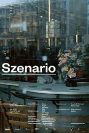 Scenario