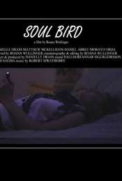 Soul Bird