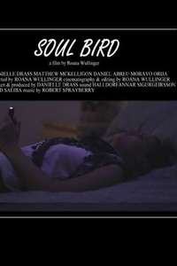 Soul Bird - Poster