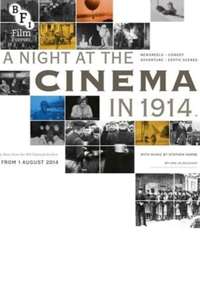 A Night at the Cinema in 1914 - Poster