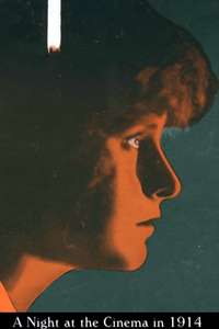 A Night at the Cinema in 1914 - Poster