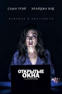 Open Windows - Poster
