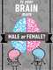 Is Your Brain Male or Female?