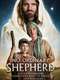No Ordinary Shepherd