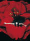 The Smashing Pumpkins: Live At Fox Theater (Live on August 4  1998)