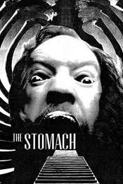 The Stomach