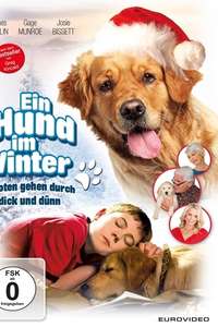 Christmas with Tucker - Poster