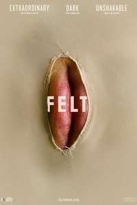 Felt - Poster