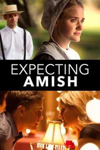Expecting Amish - Poster
