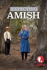 Expecting Amish - Poster
