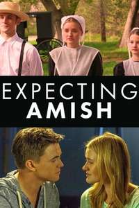 Expecting Amish - Poster