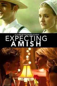 Expecting Amish - Poster