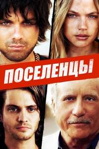 Squatters - Poster