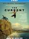 The Current: Explore the Healing Powers of the Ocean