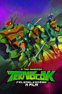 Rise of the Teenage Mutant Ninja Turtles: The Movie - Poster