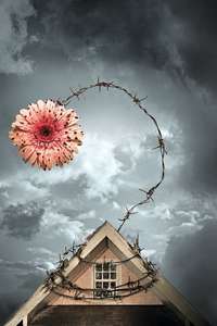 Petals on the Wind - Poster