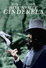 Goodnight  Cinderella