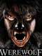 A Werewolf in Slovenia